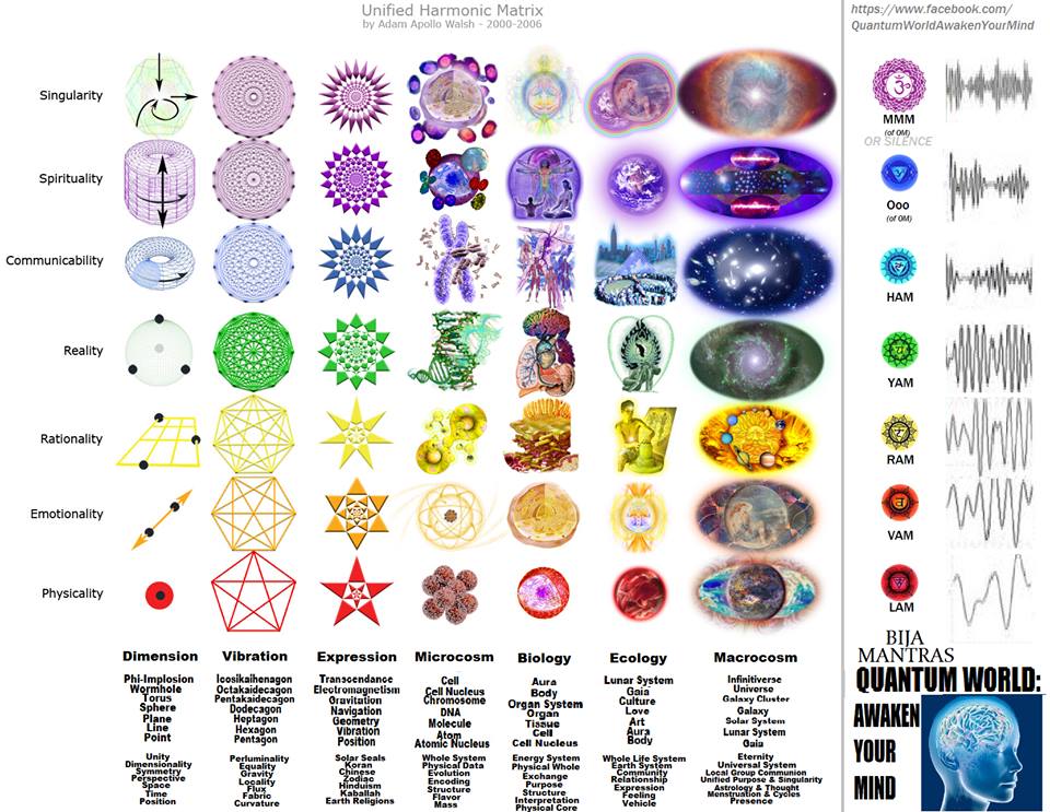 Chakra Organ Chart