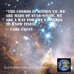 397442_317369898394336_36244701_n