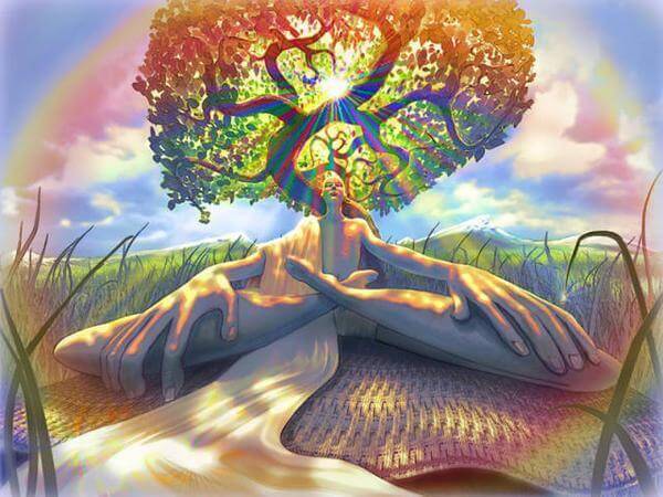 treemeditation2 awaken your mind