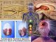 How To Decalcify And Detoxify Your Pineal Gland