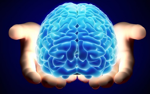 the-mind2