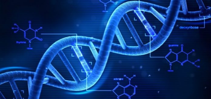 upgrade-genes