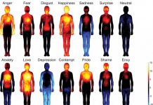 What Does Your Body Look Like When It Feels These 14 Basic Emotions?