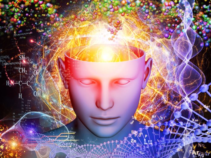 Diversity of the Mind