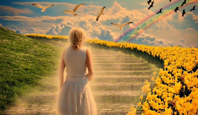 heaven-3-1024x597 (1)