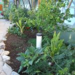 phoenix_blackwater_planters1-625×468