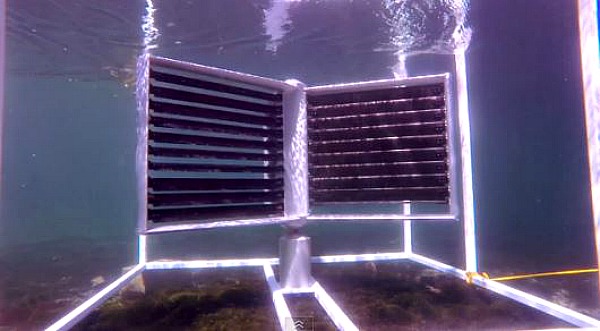 underwater