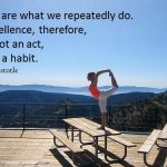 we-are-what-we-repeatedly-do-aristotle