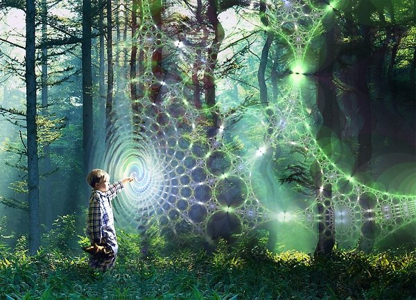 education in the matrix