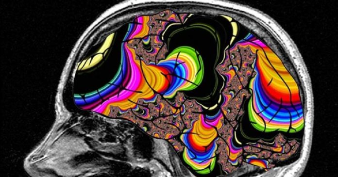 lsd-trips-scientific