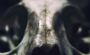 Lamentation of Death