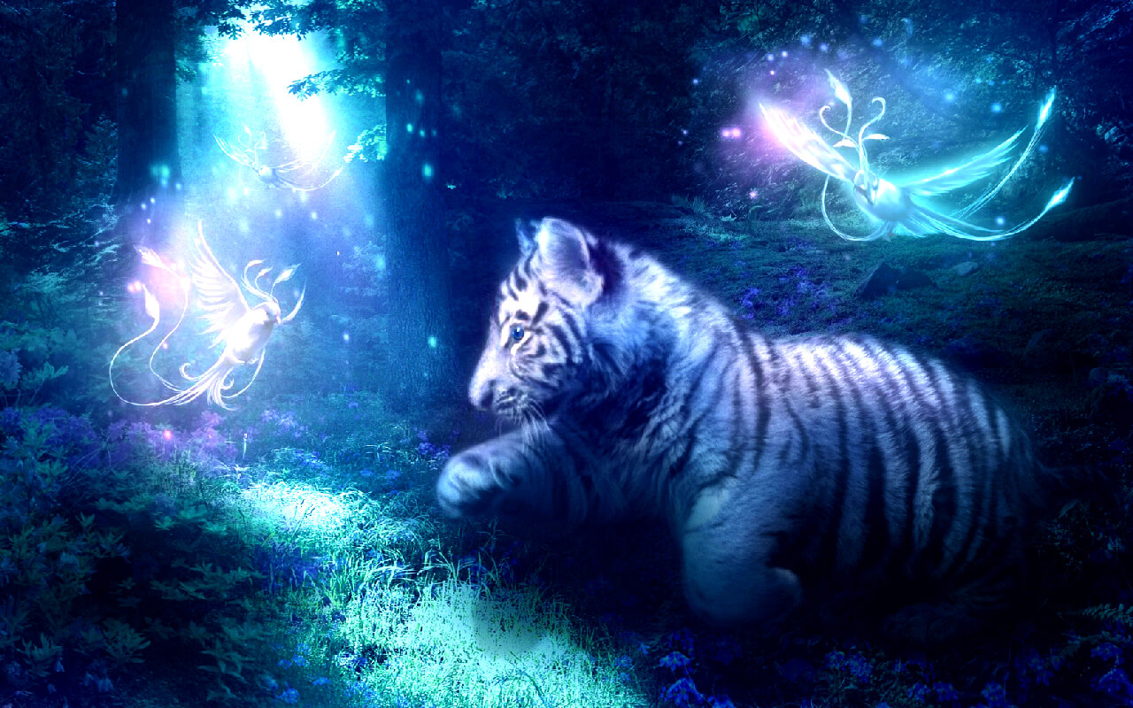 How To Discover Your Spirit Animal 