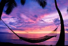 The “1 Billion Dollar Habit” Can you guess it?